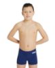 Picture of Boys Team Swim Shorts