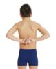 Picture of Boys Team Swim Shorts