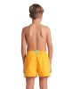 Picture of Junior Beach Shorts