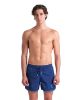 Picture of Big Logo Beach Shorts