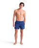 Picture of Big Logo Beach Shorts