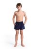 Picture of Boys Swim Briefs