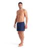 Picture of Evo Beach Shorts