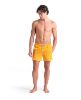 Picture of Losange Beach Shorts