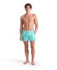Picture of Beach X-Shorts