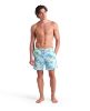 Picture of Water Prints Beach Shorts