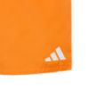 Picture of Boys Swim Shorts