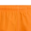 Picture of Boys Swim Shorts