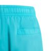 Picture of Kids 3-Stripes Swim Shorts