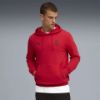 Picture of AC Milan FtblEssentials Hoodie