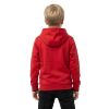 Picture of Boys AC Milan FtblEssentials Hoodie