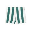 Picture of Cevoli Aop Striped Swim Shorts