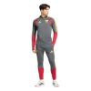 Picture of AS Roma Tiro26 Competition Training Track Top