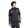 Picture of Juventus Turin DNA Track Top