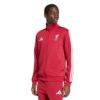 Picture of Liverpool FC DNA Track Top