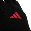Picture of Manchester United Gloves