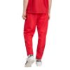 Picture of FC Bayern Muenchen Stadium Track Pants