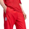 Picture of FC Bayern Muenchen Stadium Track Pants