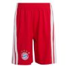 Picture of FC Bayern 26/27 Home Kids Set