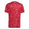 Picture of Liverpool FC 26/27 Home Jersey