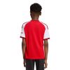 Picture of Arsenal FC 26/27 Home Kids Jersey