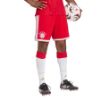 Picture of FC Bayern 26/27 Home Shorts