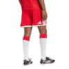 Picture of FC Bayern 26/27 Home Shorts