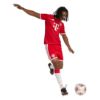 Picture of FC Bayern 26/27 Home Shorts