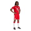 Picture of FC Bayern 26/27 Home Shorts