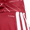 Picture of Liverpool FC 26/27 Home Shorts