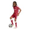 Picture of Liverpool FC 26/27 Home Shorts Kids