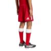 Picture of Arsenal FC 26/27 Home Kids Shorts