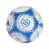 Picture of Argentina AFA Argentum Gambeta Mini Ball