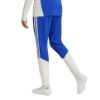 Picture of Juventus 26/27 Tiro26 Competition Training Pants
