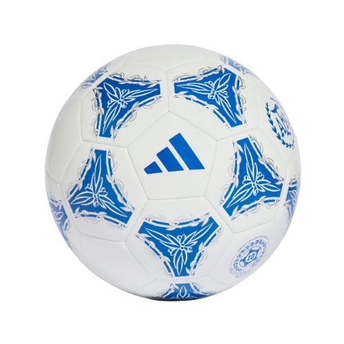 Picture of Argentina AFA Argentum Gambeta Club Ball