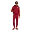 Picture of AS Roma DNA Hoodie