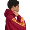 Picture of AS Roma DNA Hoodie