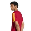 Picture of AS Roma DNA T-Shirt