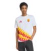 Picture of AS Roma Seasonal Graphic T-Shirt