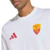 Picture of AS Roma Seasonal Graphic T-Shirt