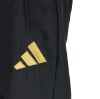 Picture of Juventus Turin Stadium Track Pants