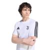 Picture of Juventus Turin DNA T-Shirt