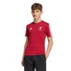 Picture of Liverpool FC Kids T-Shirt