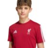 Picture of Liverpool FC Kids T-Shirt