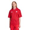 Picture of FC Bayern Muenchen Stadium Jersey