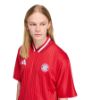 Picture of FC Bayern Muenchen Stadium Jersey