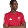 Picture of Liverpool FC DNA T-Shirt