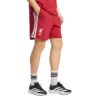 Picture of Liverpool FC DNA Shorts