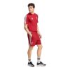 Picture of Liverpool FC DNA Shorts