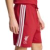 Picture of Liverpool FC DNA Shorts
